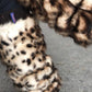 BoneWarmers - Fluff Leopard